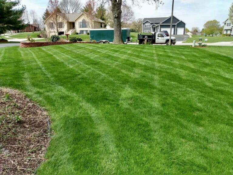 A lawn with nice lines