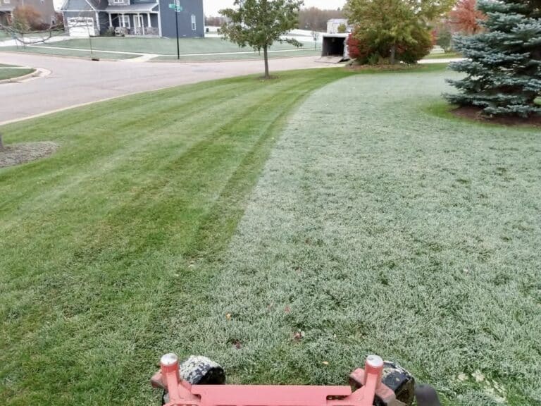 Ben mowing a lawn on a frosty morning